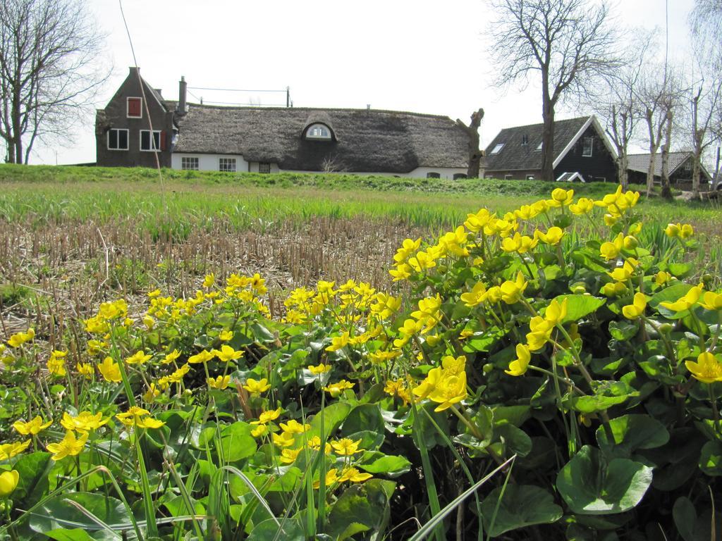 Гостевой дом Boerderij Honswijck Весп Экстерьер фото