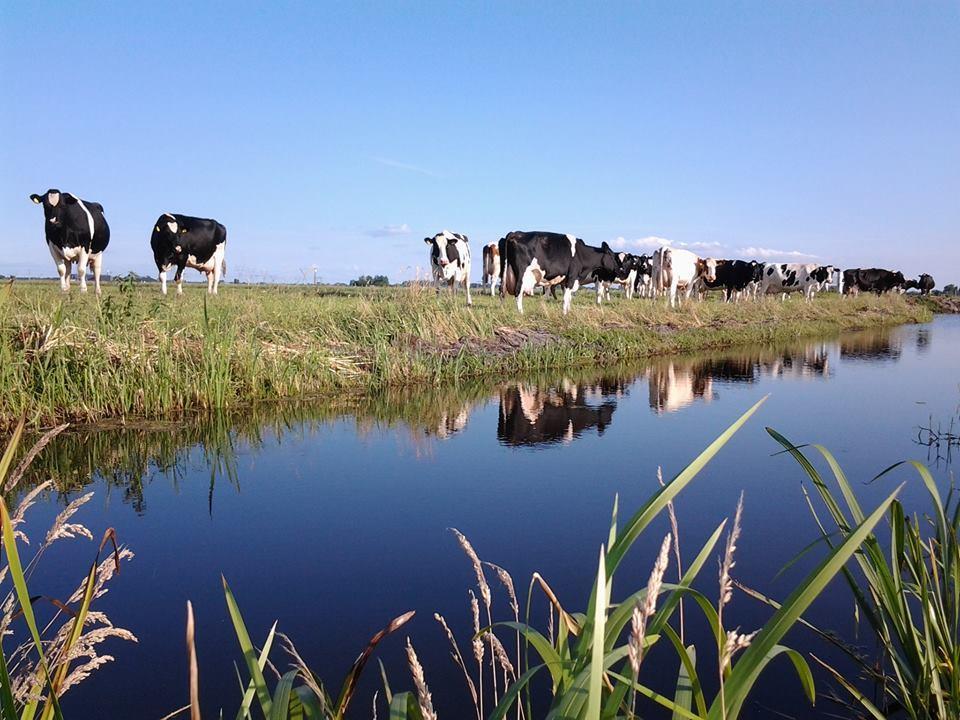 Гостевой дом Boerderij Honswijck Весп Экстерьер фото